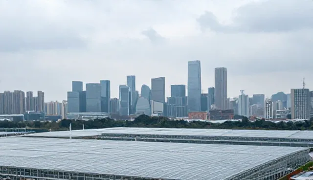 技术选型中的应用场景分析实践与挑战